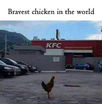 1704130018913.png
