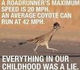 IMG_9011.jpeg