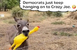 1705609244936.png