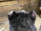 IMG_0873.jpeg