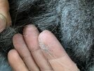IMG_0904.jpeg