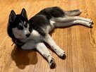 IMG_0717.jpeg
