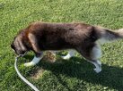 IMG_0980.jpeg