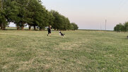 IMG_0706.jpeg