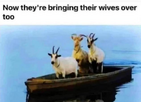1706380917125.png