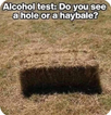 1706381578069.png