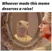 1706529295057.png