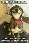 1706659973411.png