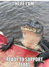 1706957240332.png