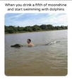 1708205006386.png