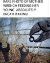 1708906575385.png