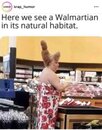 FB_IMG_1708889858278.jpg