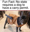 1709401952521.png