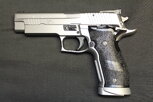Sig Sauer 226S (X-5 Target) 40 S&W  L.JPG