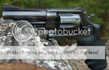DSC_1661.jpg