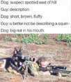 1723986617575.png
