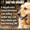 1724100084861.png