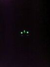 20241023_055718.jpg