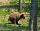 IMG_4125.jpeg