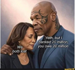 1732027252916.png