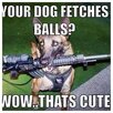fetch.jpg
