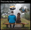 1732901194523.webp