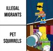 1735055275037.jpeg