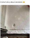 1737230131378.jpeg