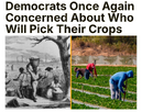 1738061471382.png