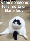 1738586991969.png