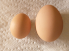 1740486413107.png