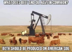1740487247354.png