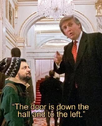 1740829508178.png