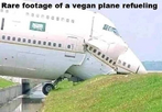 1741903660891.png