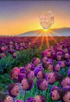 1742898143442.png