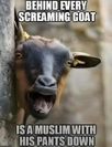 1746267330543.png