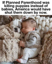 1747009381787.png