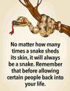 1750257697605.png