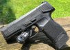 Sig P365.jpg