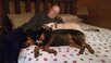 mikepups[6599].jpg