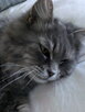 IMG0014A.jpg