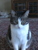 IMG0024A.jpg
