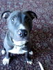 IMG0278A.jpg