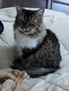 IMG0586A.jpg