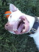 IMG0007A.jpg
