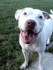 IMG0488A.jpg