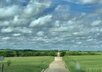1D9C3780-9E25-434D-BD12-2D29C4A73DE2.jpeg
