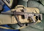 AR556w.jpg