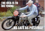 die young.png