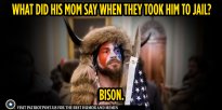 bison.jpg